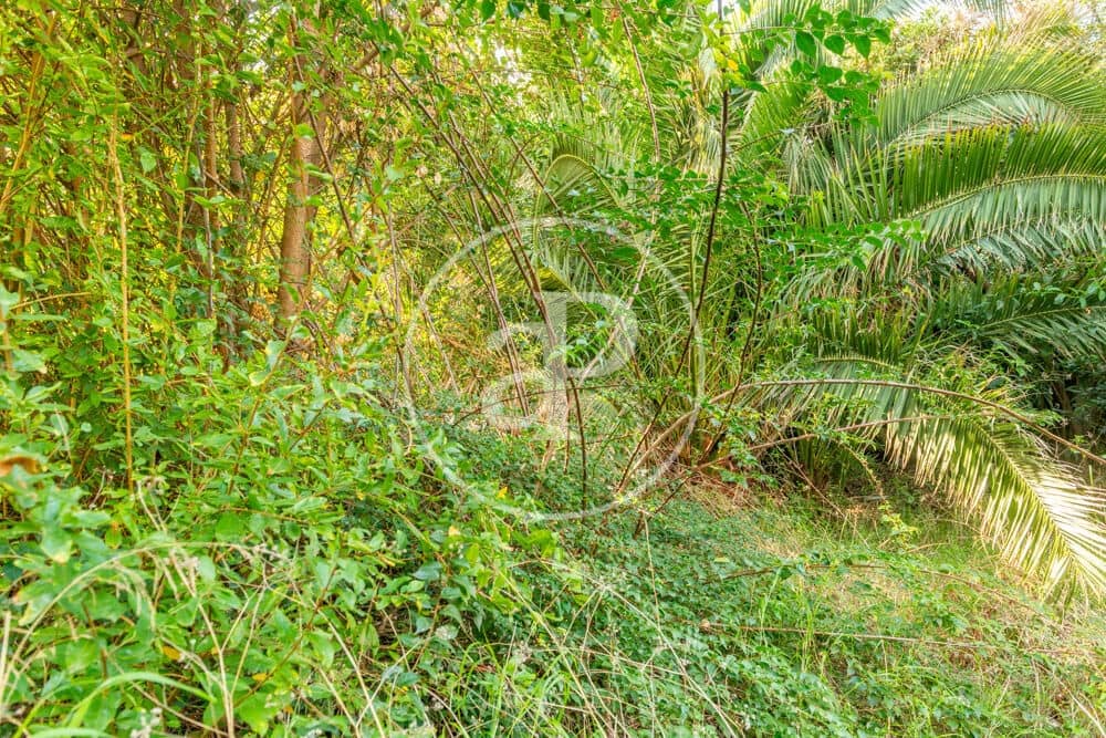 Terreno Non Edificato in vendita in Burriana / Borriana - 675.000 € (Rif: 10180544)