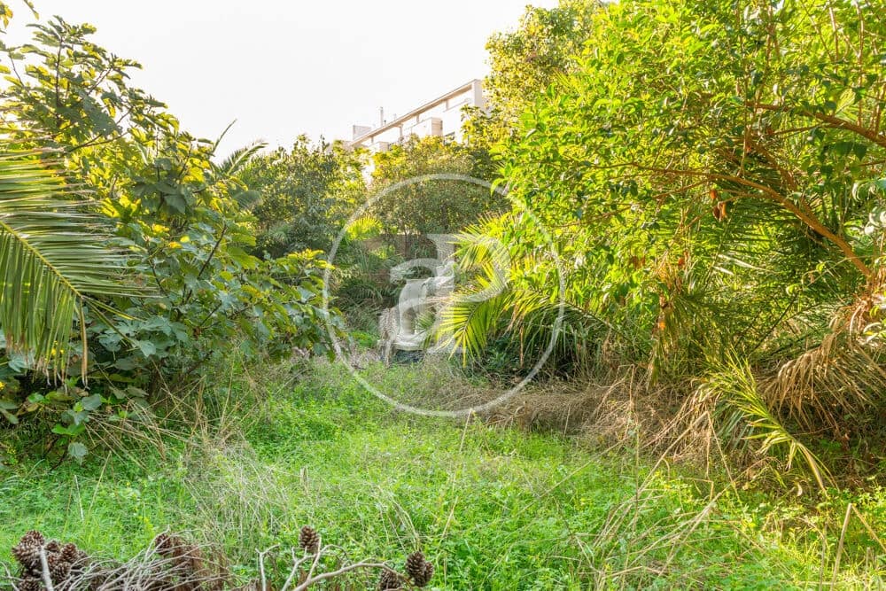 Terreno Non Edificato in vendita in Burriana / Borriana - 675.000 € (Rif: 10180544)