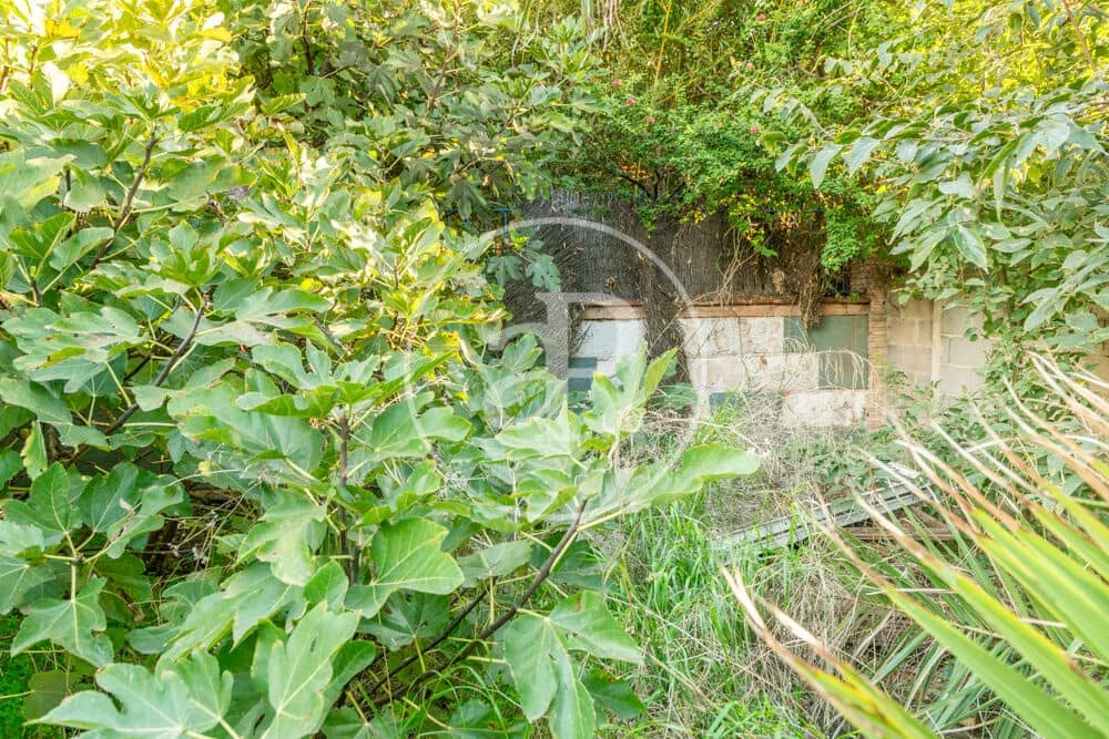 Terreno Non Edificato in vendita in Burriana / Borriana - 675.000 € (Rif: 10180544)
