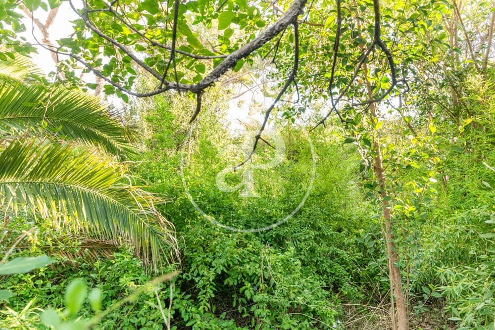 Terreno Non Edificato in vendita in Burriana / Borriana - 675.000 € (Rif: 10180544)