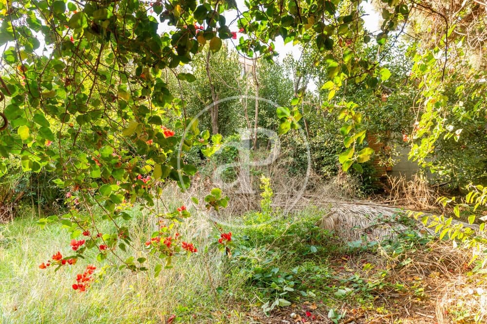 Terreno Non Edificato in vendita in Burriana / Borriana - 675.000 € (Rif: 10180544)