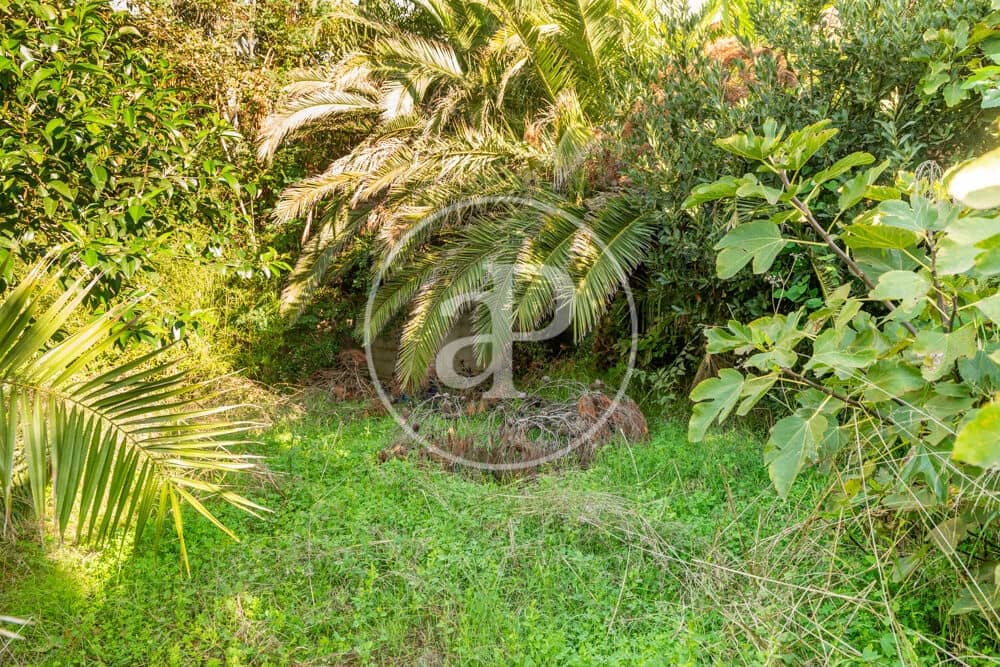 Terreno Non Edificato in vendita in Burriana / Borriana - 675.000 € (Rif: 10180544)