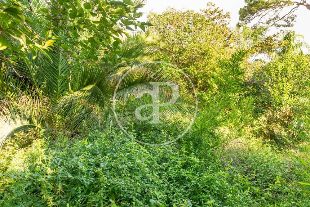 Terreno Non Edificato in vendita in Burriana / Borriana - 675.000 € (Rif: 10180544)