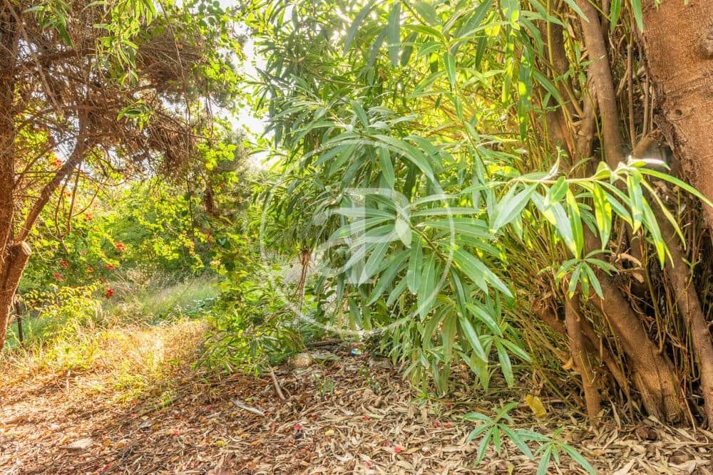 Terreno Non Edificato in vendita in Burriana / Borriana - 675.000 € (Rif: 10180544)