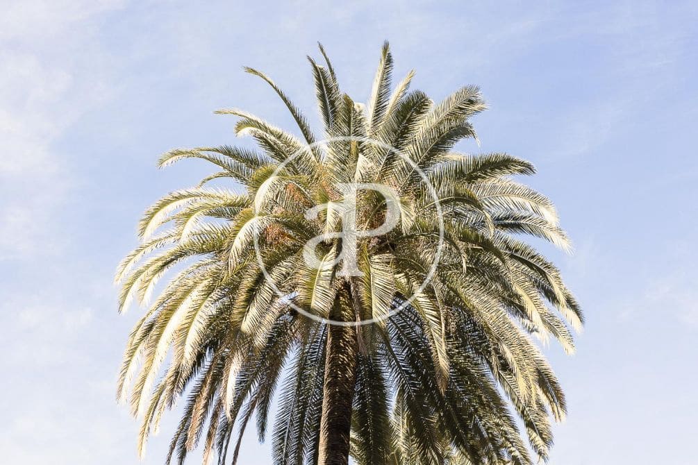 Grunde uden byggetilladelser til salg i Pucol - € 2.191.475 (Ref: 7598636)