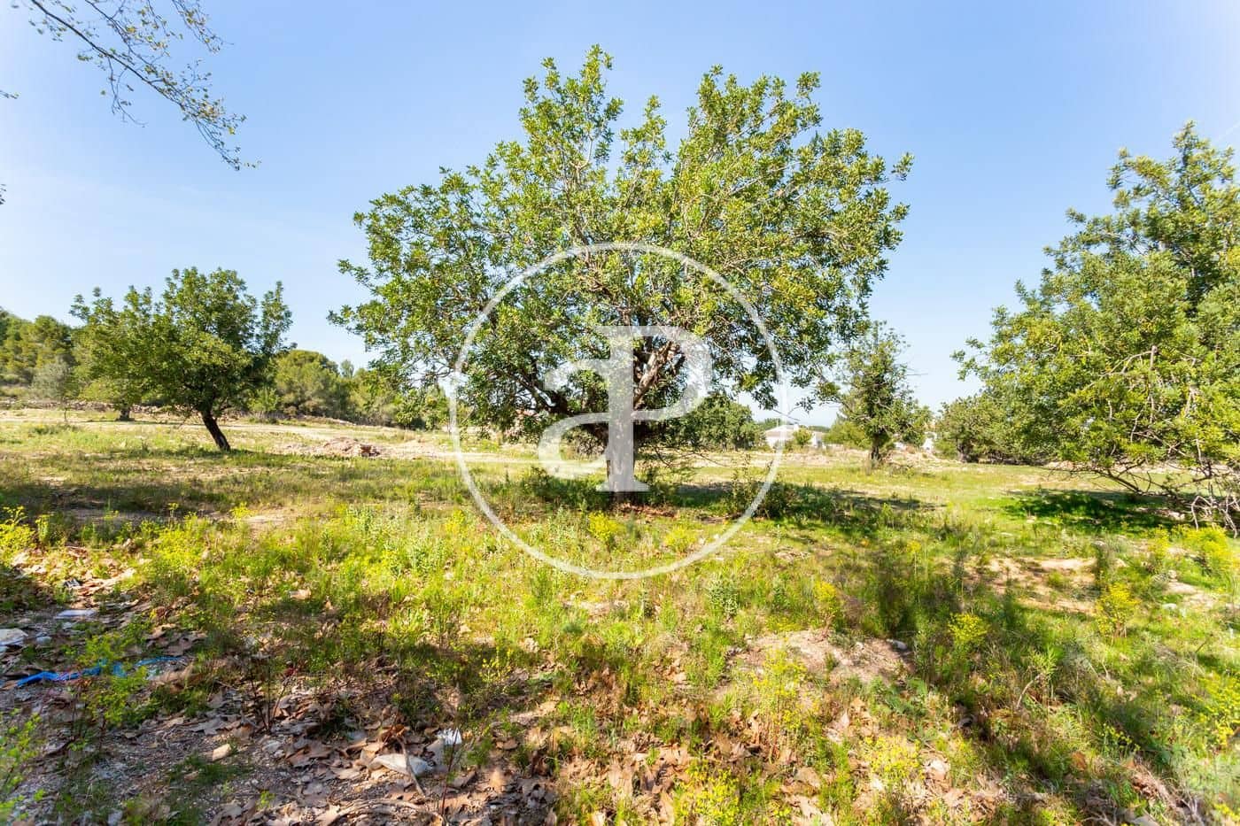 Grunde uden byggetilladelser til salg i Chiva - € 250.000 (Ref: 7598642)