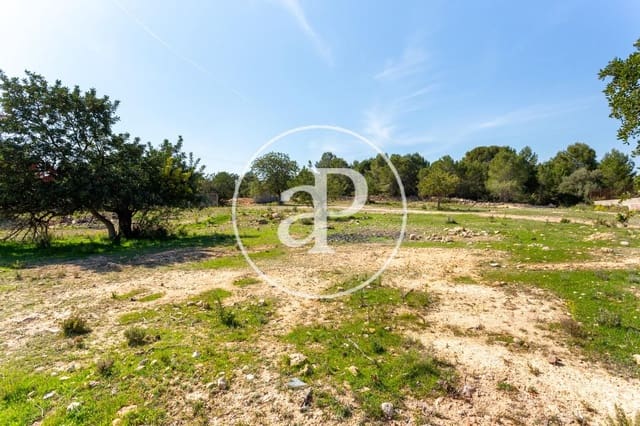Teren niezagospodarowany na sprzedaż w Chiva - 250 000 € (Ref: 7598642)
