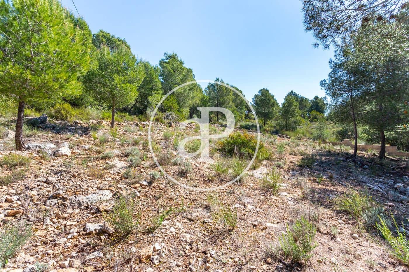 Grunde uden byggetilladelser til salg i Olocau - € 64.000 (Ref: 7598644)