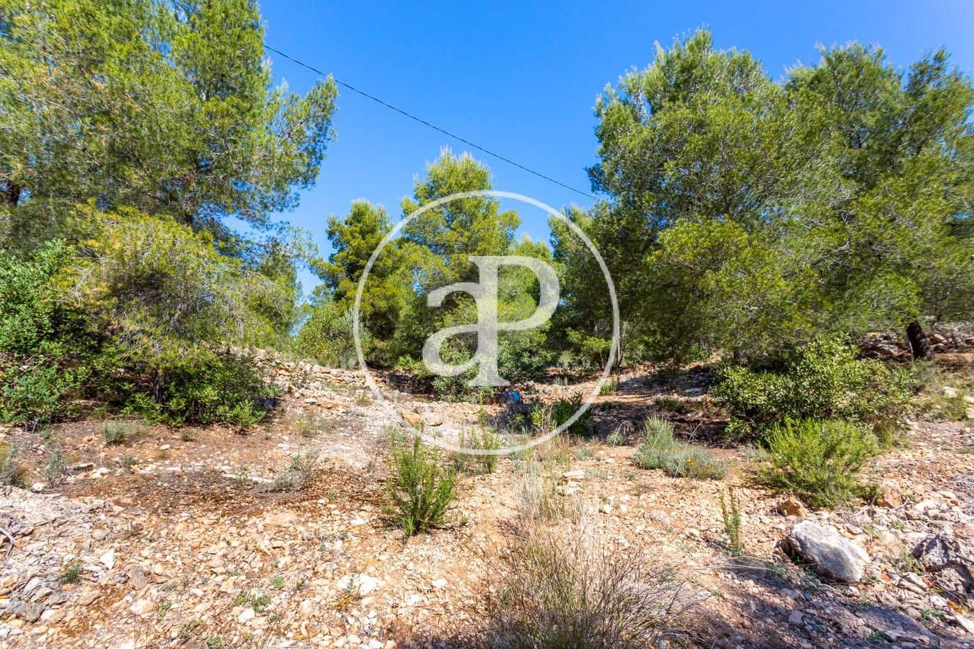 Grunde uden byggetilladelser til salg i Olocau - € 64.000 (Ref: 7598644)