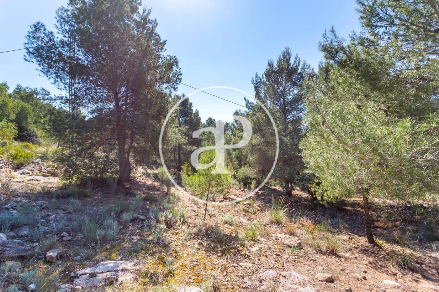 Grunde uden byggetilladelser til salg i Olocau - € 64.000 (Ref: 7598644)