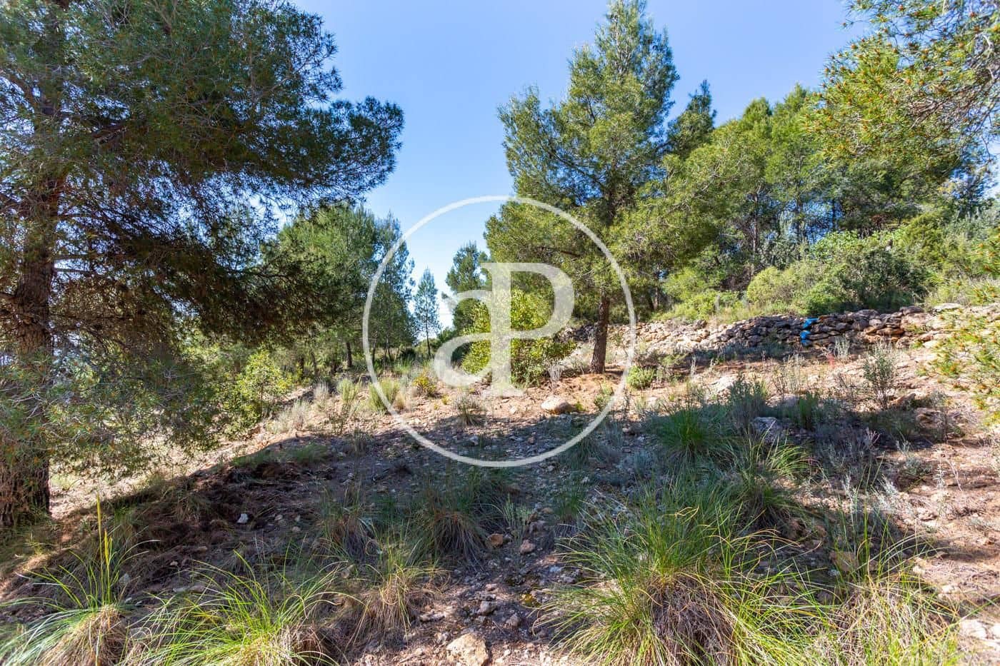 Grunde uden byggetilladelser til salg i Olocau - € 64.000 (Ref: 7598644)