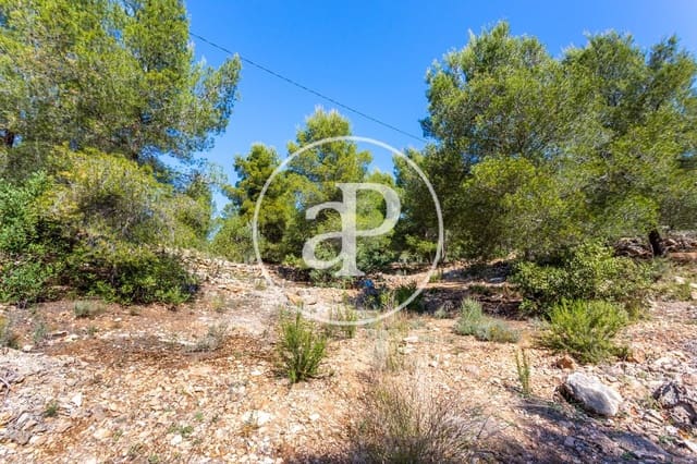 Undeveloped Land for sale in Olocau - € 64,000 (Ref: 7598644)