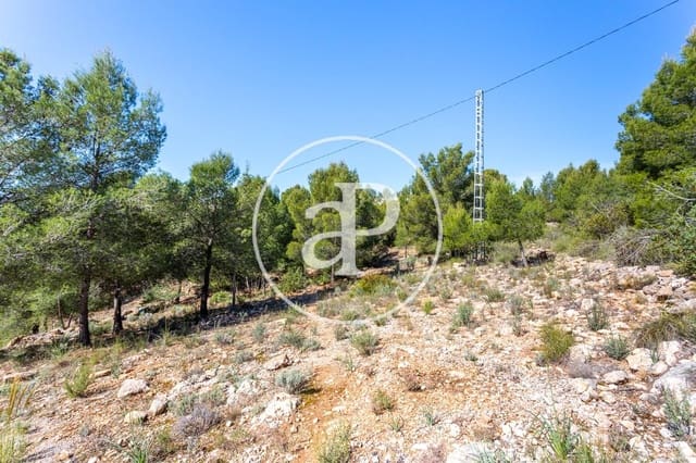 Undeveloped Land for sale in Olocau - € 64,000 (Ref: 7598644)