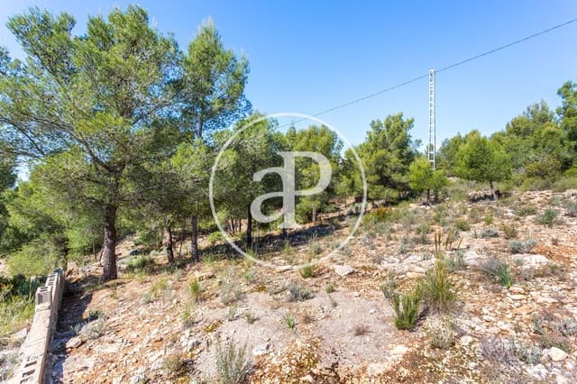 Undeveloped Land for sale in Olocau - € 64,000 (Ref: 7598644)