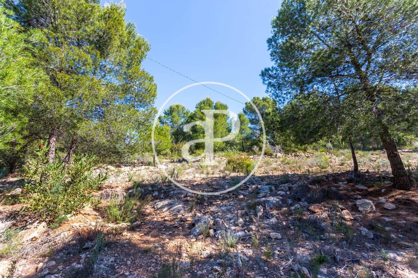 Grunde uden byggetilladelser til salg i Olocau - € 64.000 (Ref: 7598644)