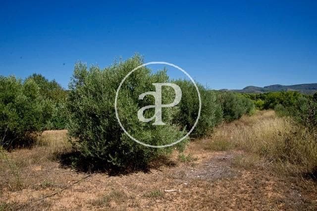 Grunde uden byggetilladelser til salg i Olocau - € 190.000 (Ref: 7598650)