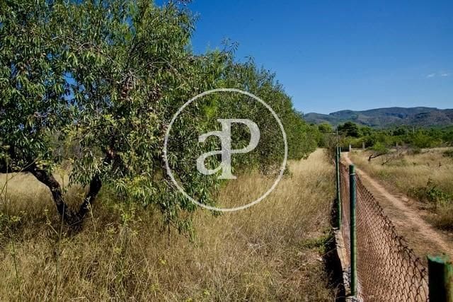 Grunde uden byggetilladelser til salg i Olocau - € 190.000 (Ref: 7598650)