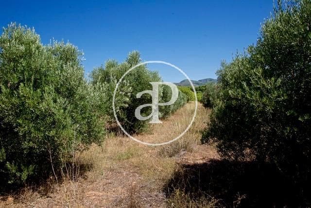 Grunde uden byggetilladelser til salg i Olocau - € 190.000 (Ref: 7598650)