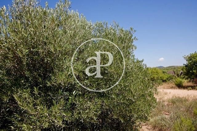 Grunde uden byggetilladelser til salg i Olocau - € 190.000 (Ref: 7598650)