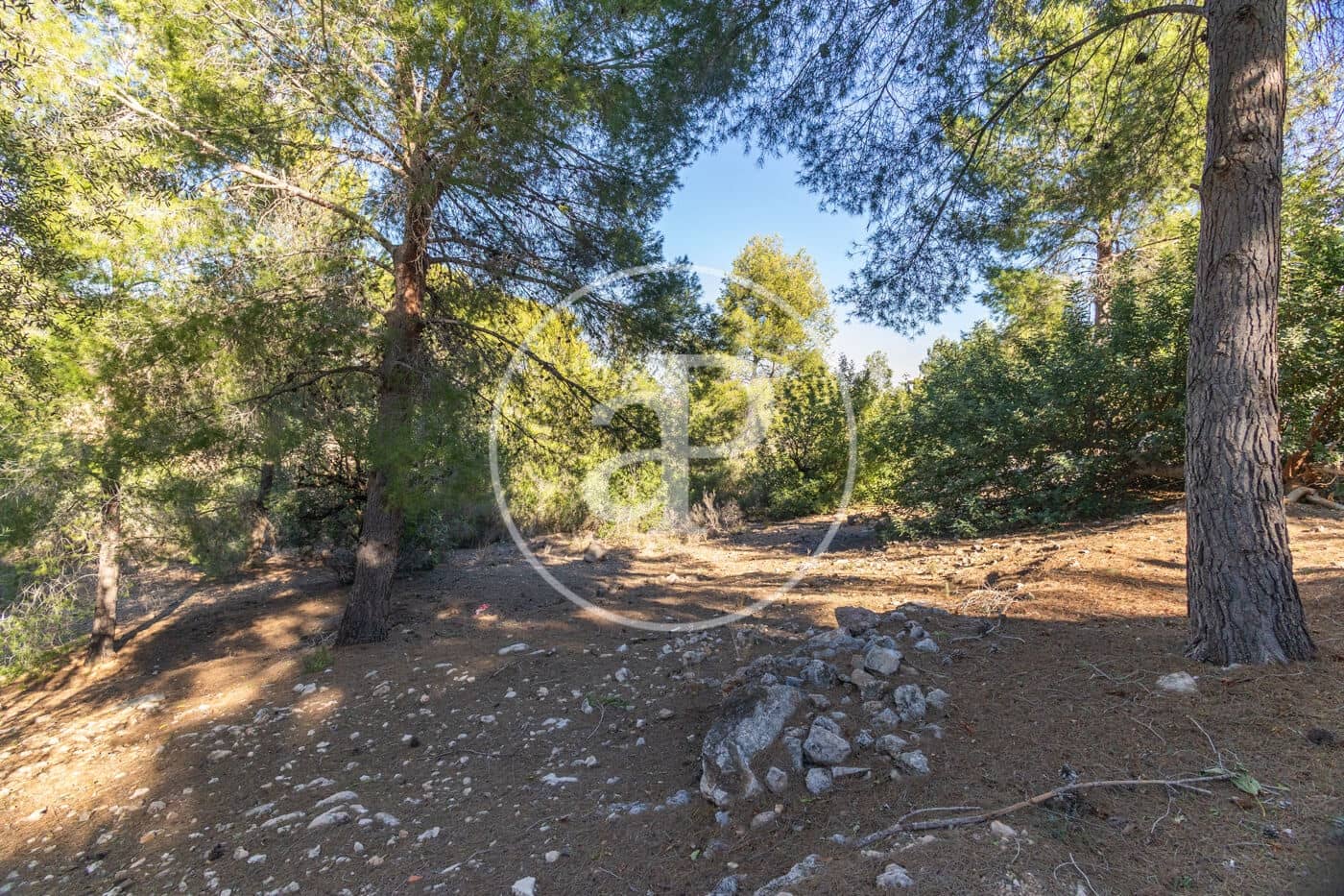 Ubebygd land til salgs i Chiva - € 80 000 (Ref: 7936478)