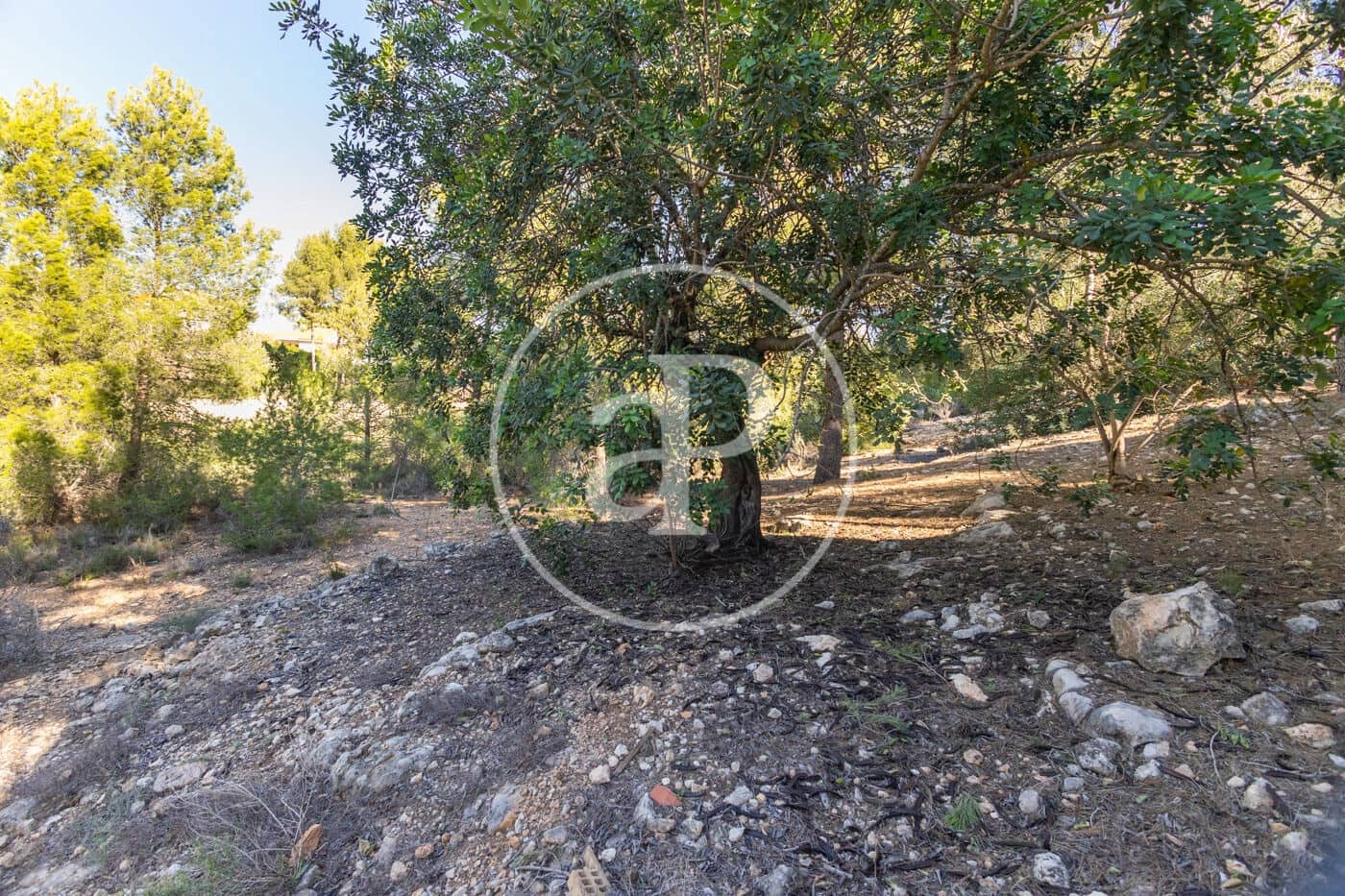 Ubebygd land til salgs i Chiva - € 80 000 (Ref: 7936478)