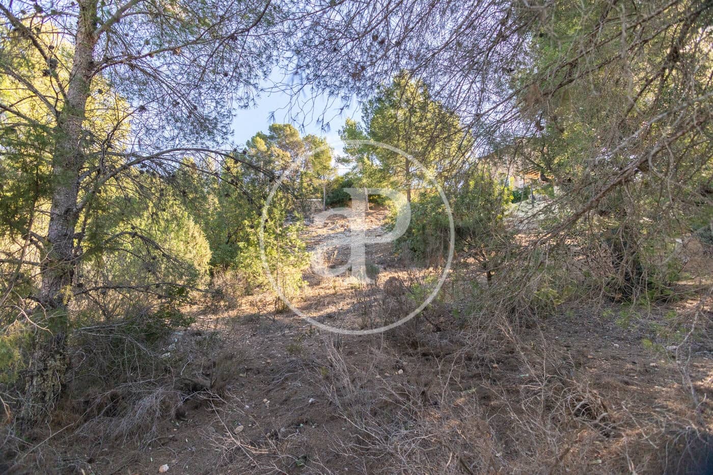 Ubebygd land til salgs i Chiva - € 80 000 (Ref: 7936478)