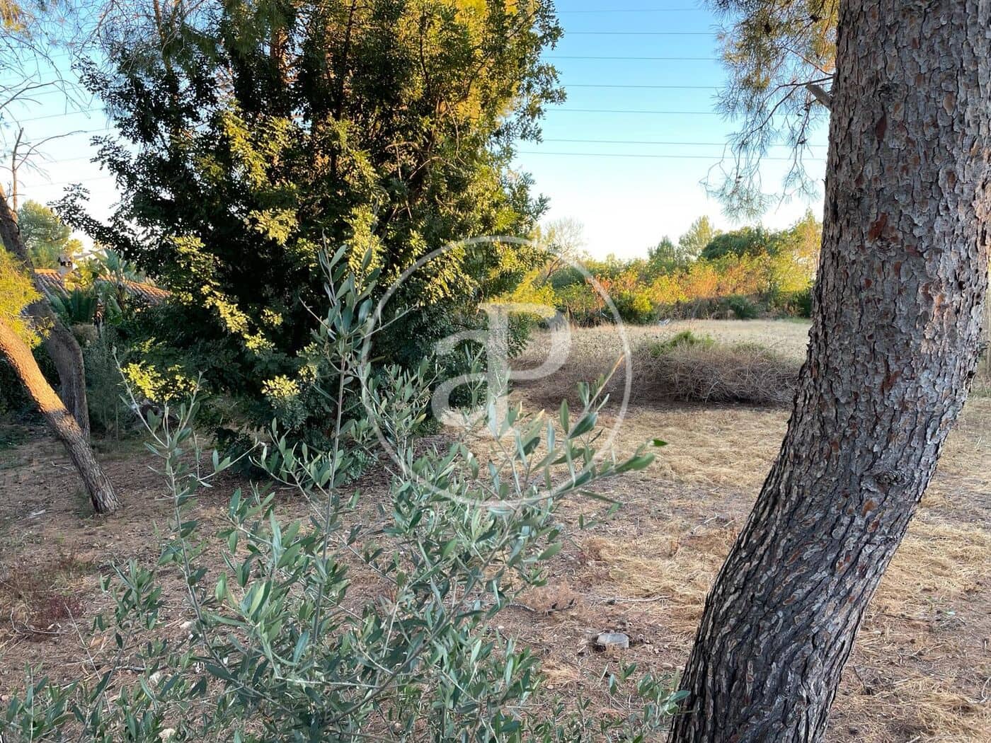 Grunde uden byggetilladelser til salg i Torrent - € 385.000 (Ref: 8048505)