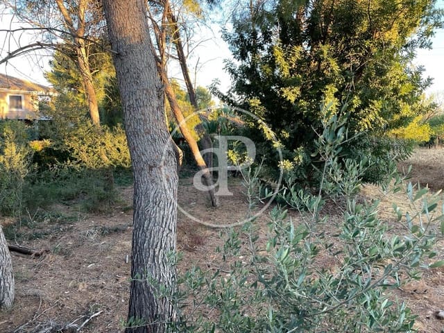Undeveloped Land for sale in El Vedat de Torrente, Torrent - € 385,000 (Ref: 8048505)