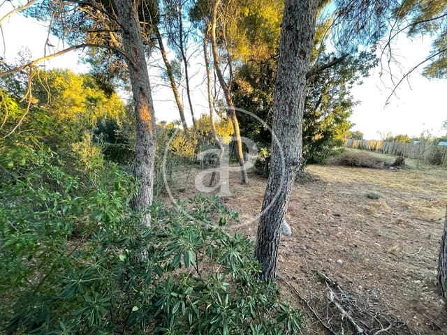 Undeveloped Land for sale in El Vedat de Torrente, Torrent - € 385,000 (Ref: 8048505)