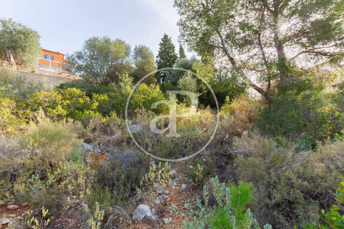 Grunde uden byggetilladelser til salg i Calicanto - € 85.000 (Ref: 8165535)