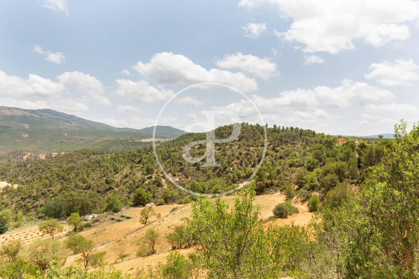 5 soveværelse Finca/Landehus til salg i Utiel med swimmingpool - € 1.350.000 (Ref: 8441181)