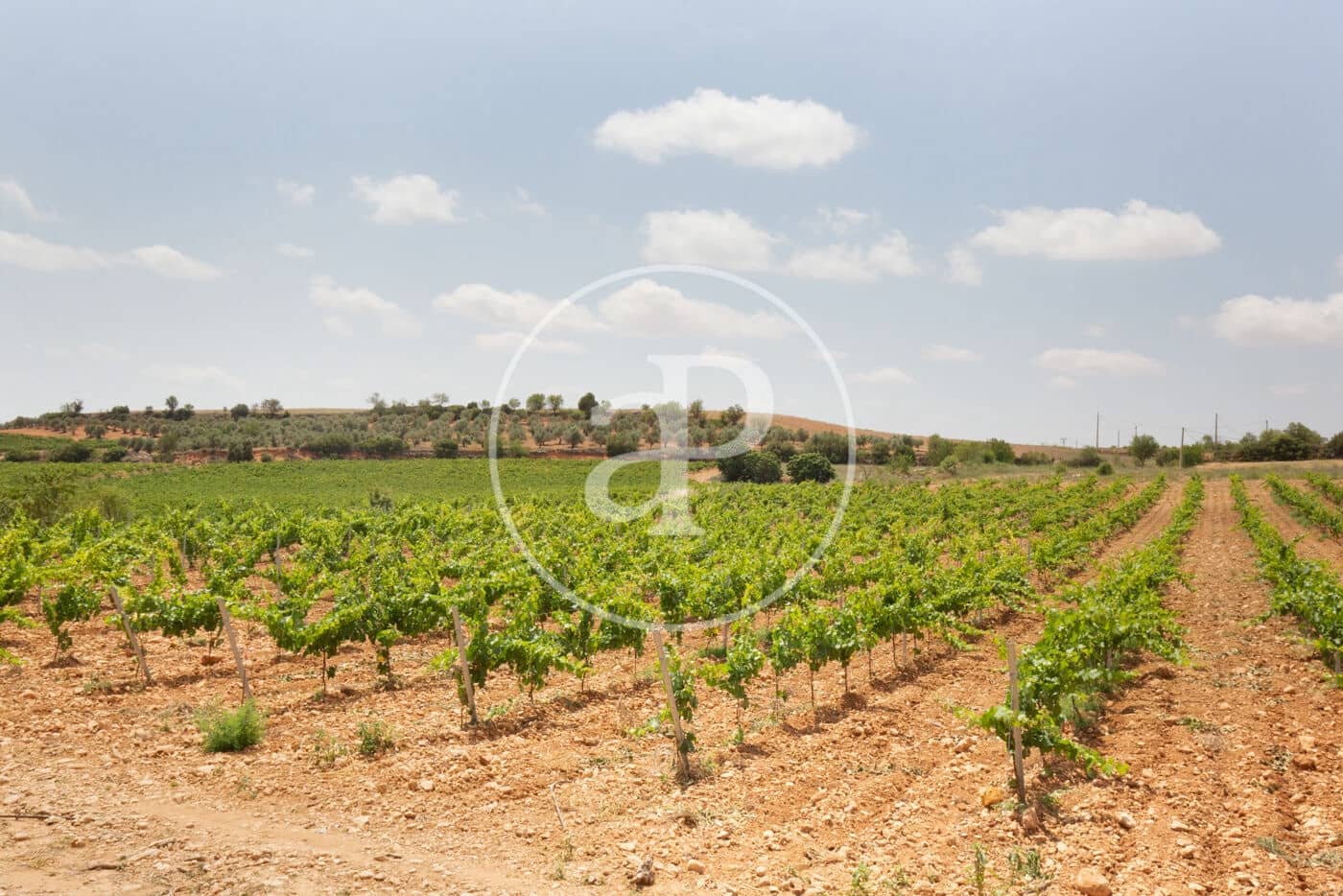 5 soveværelse Finca/Landehus til salg i Utiel med swimmingpool - € 1.350.000 (Ref: 8441181)