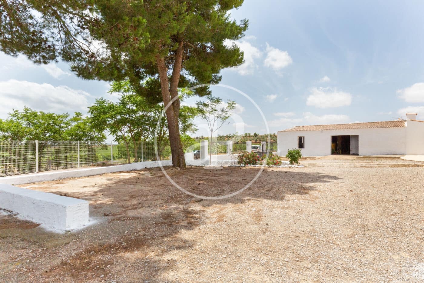 5 soveværelse Finca/Landehus til salg i Utiel med swimmingpool - € 1.350.000 (Ref: 8441181)