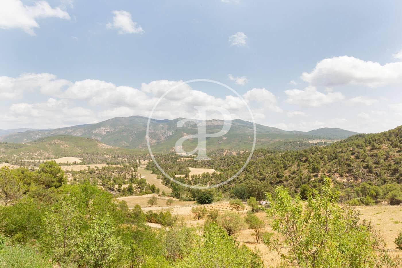 5 soveværelse Finca/Landehus til salg i Utiel med swimmingpool - € 1.350.000 (Ref: 8441181)