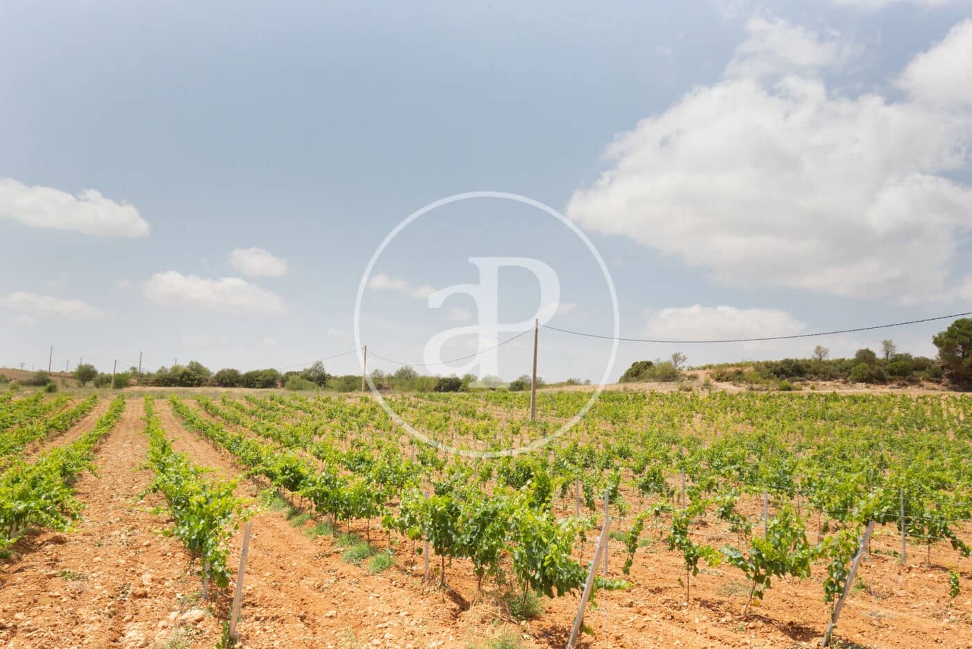 5 soveværelse Finca/Landehus til salg i Utiel med swimmingpool - € 1.350.000 (Ref: 8441181)