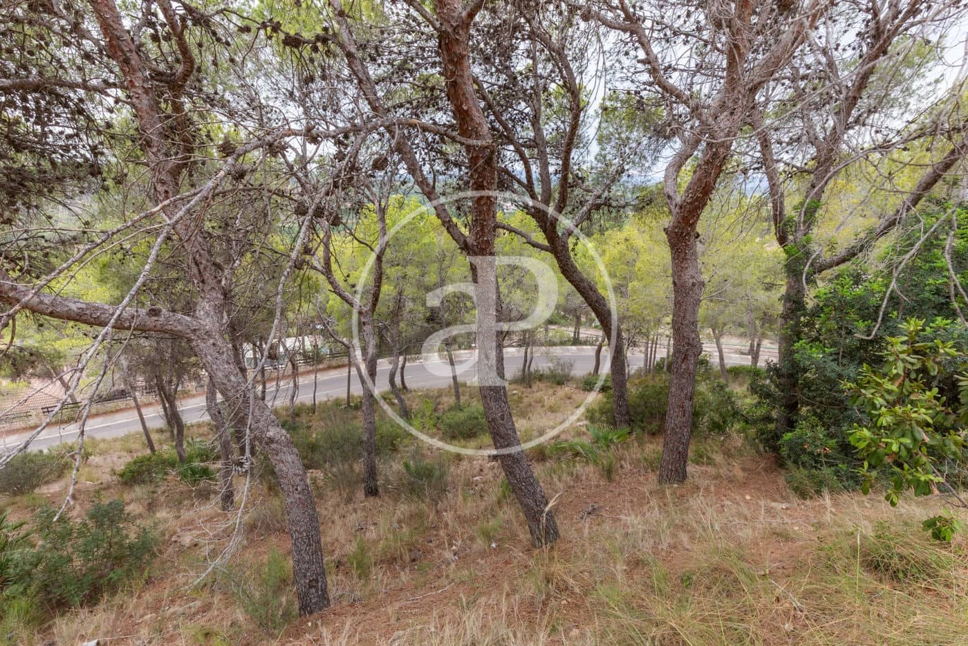 Teren niezagospodarowany na sprzedaż w Chiva - 215 000 € (Ref: 8454033)