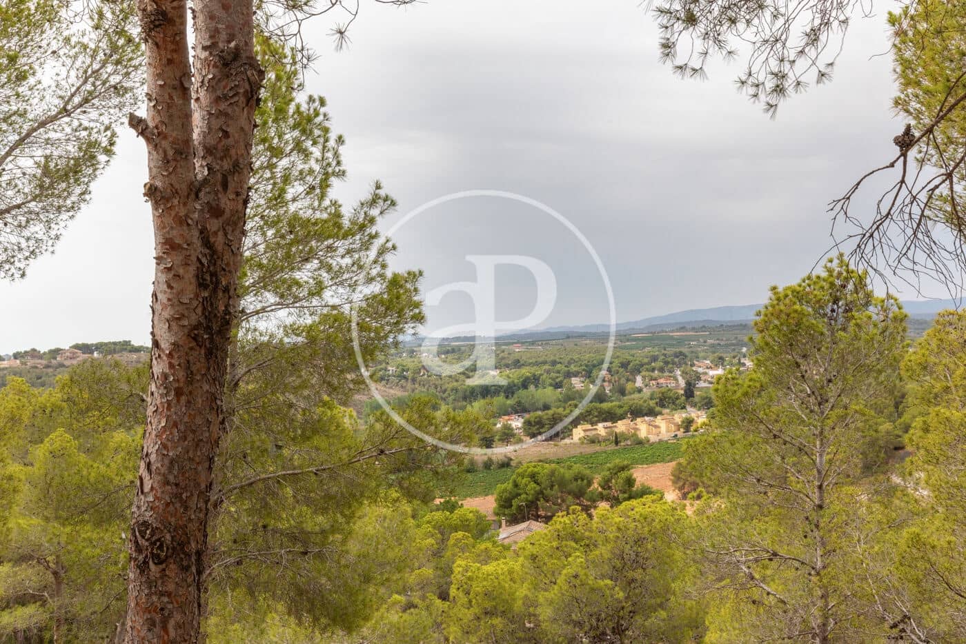 Teren niezagospodarowany na sprzedaż w Chiva - 215 000 € (Ref: 8454033)