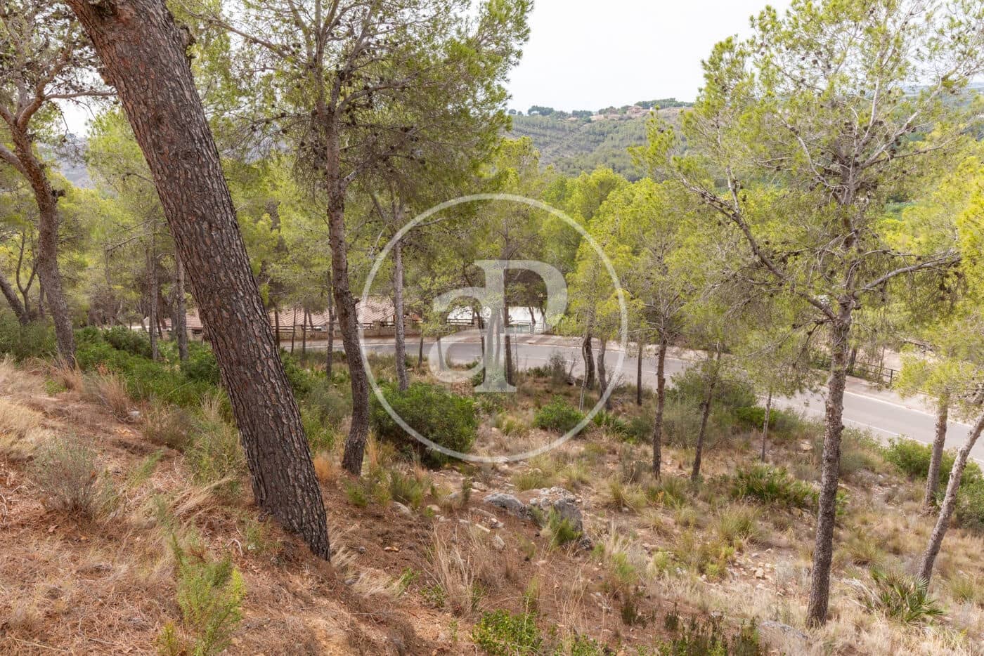 Teren niezagospodarowany na sprzedaż w Chiva - 215 000 € (Ref: 8454033)