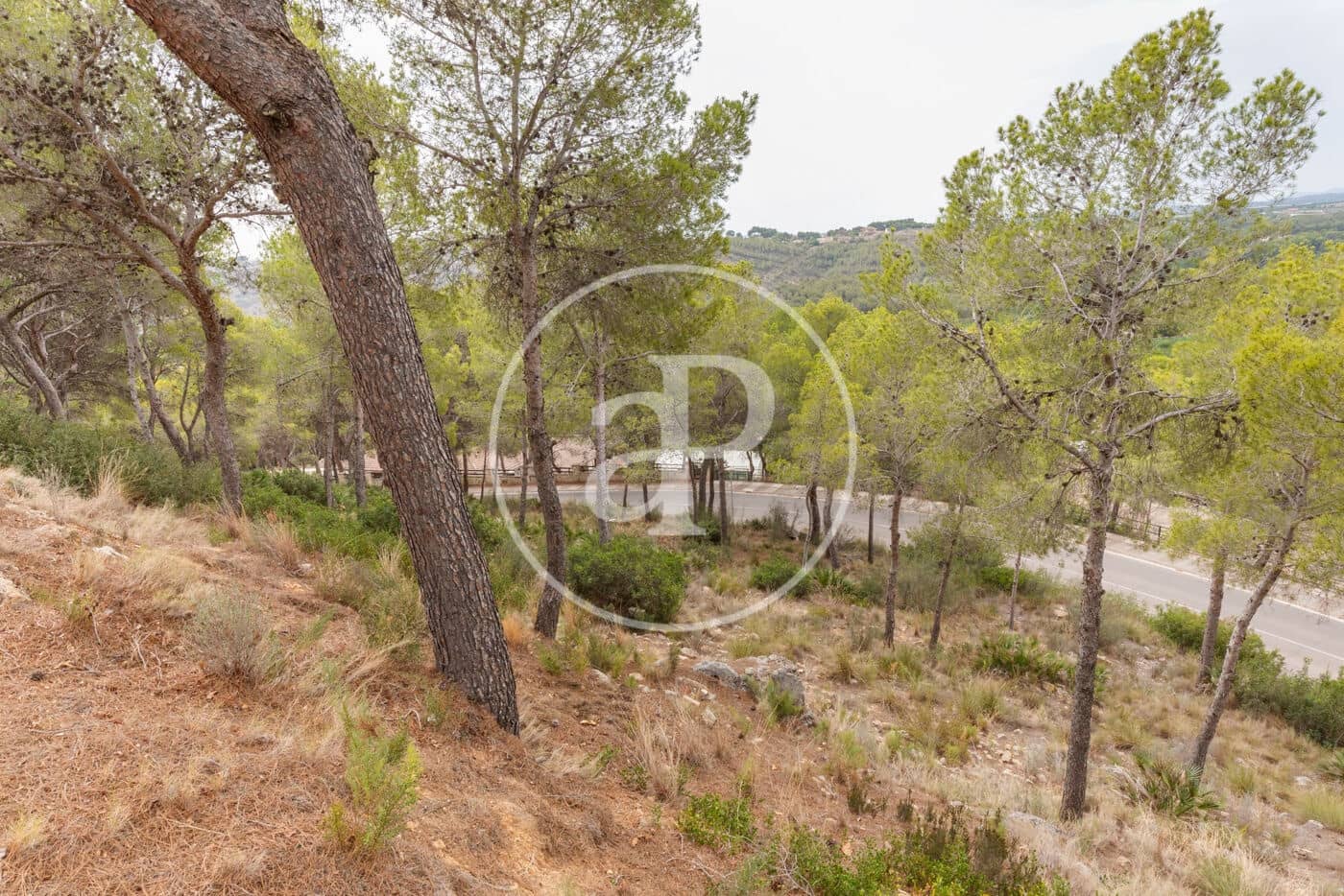 Teren niezagospodarowany na sprzedaż w Chiva - 215 000 € (Ref: 8454033)