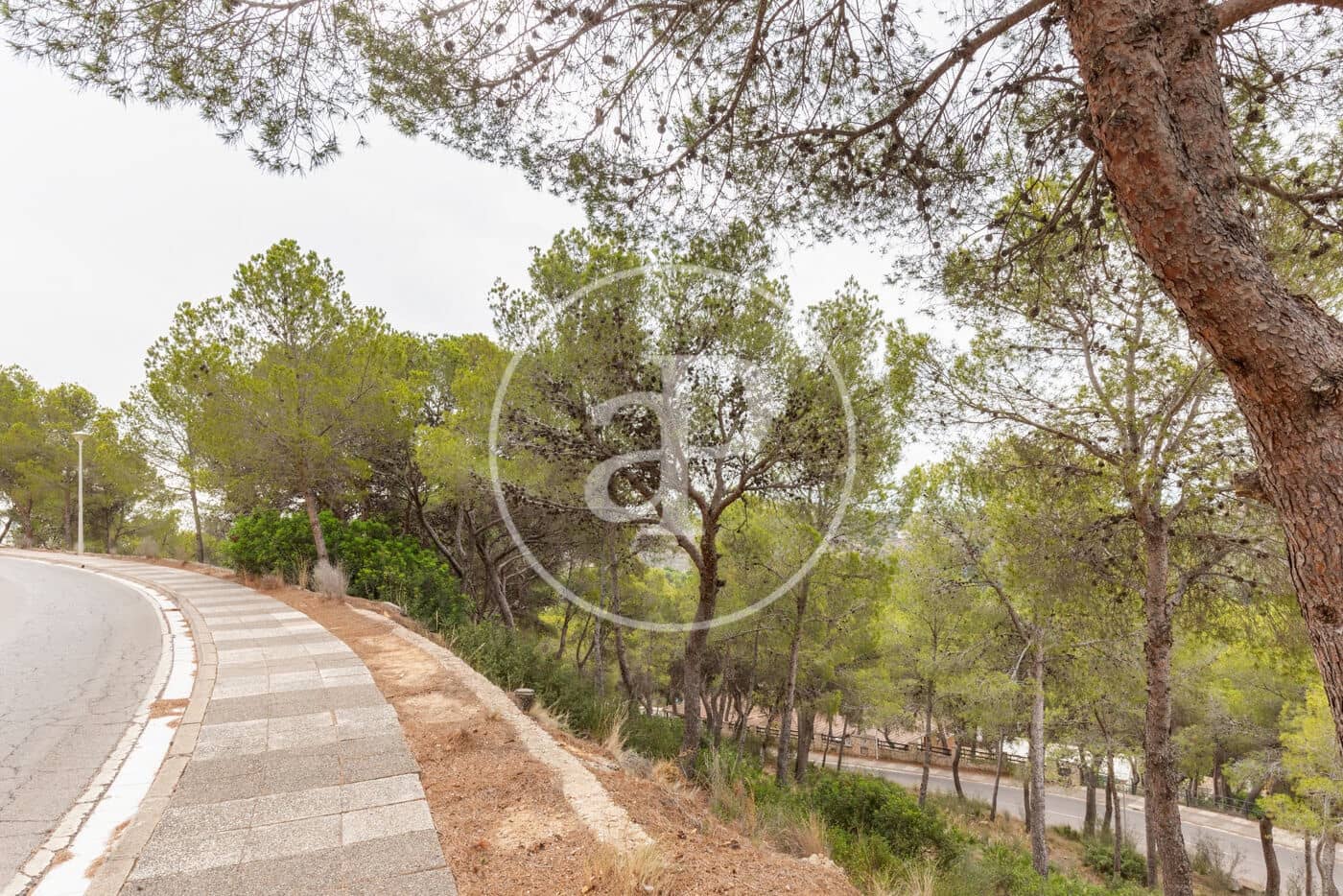 Teren niezagospodarowany na sprzedaż w Chiva - 215 000 € (Ref: 8454033)