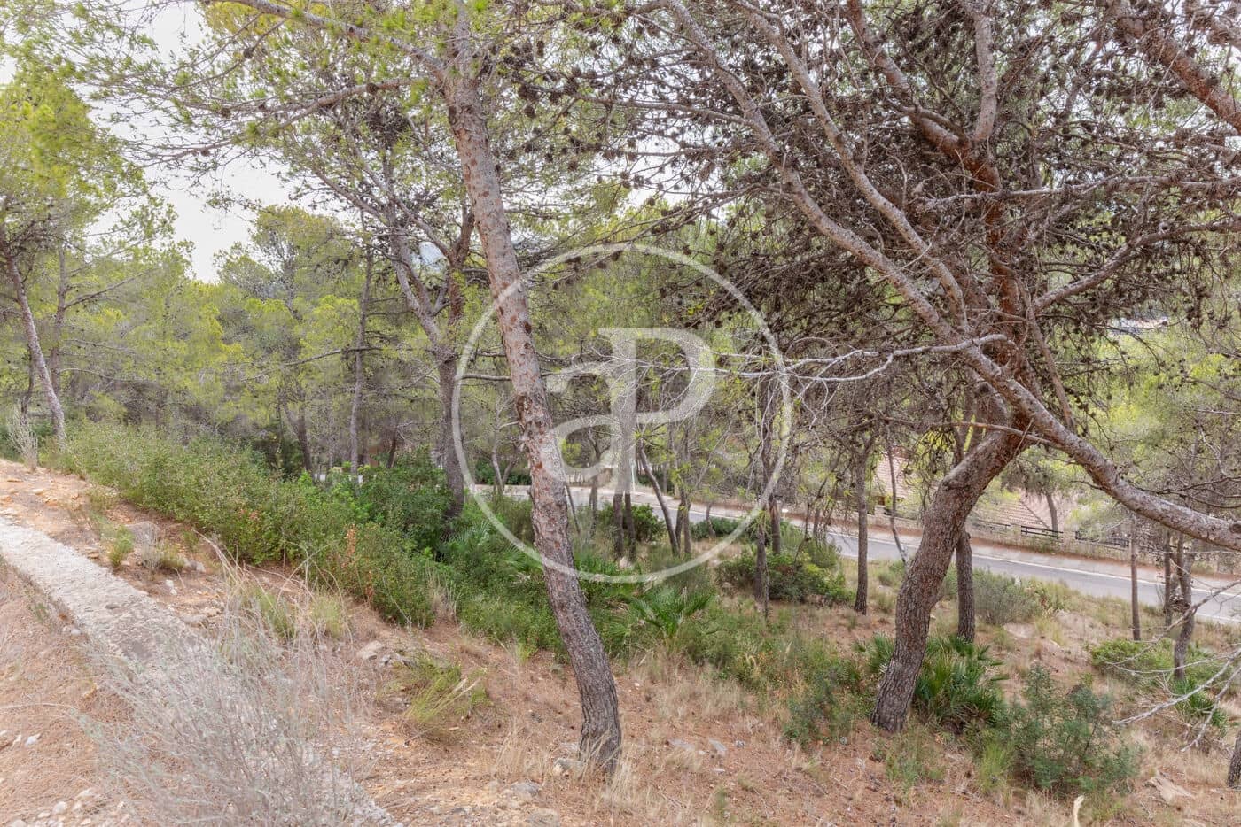Teren niezagospodarowany na sprzedaż w Chiva - 215 000 € (Ref: 8454033)