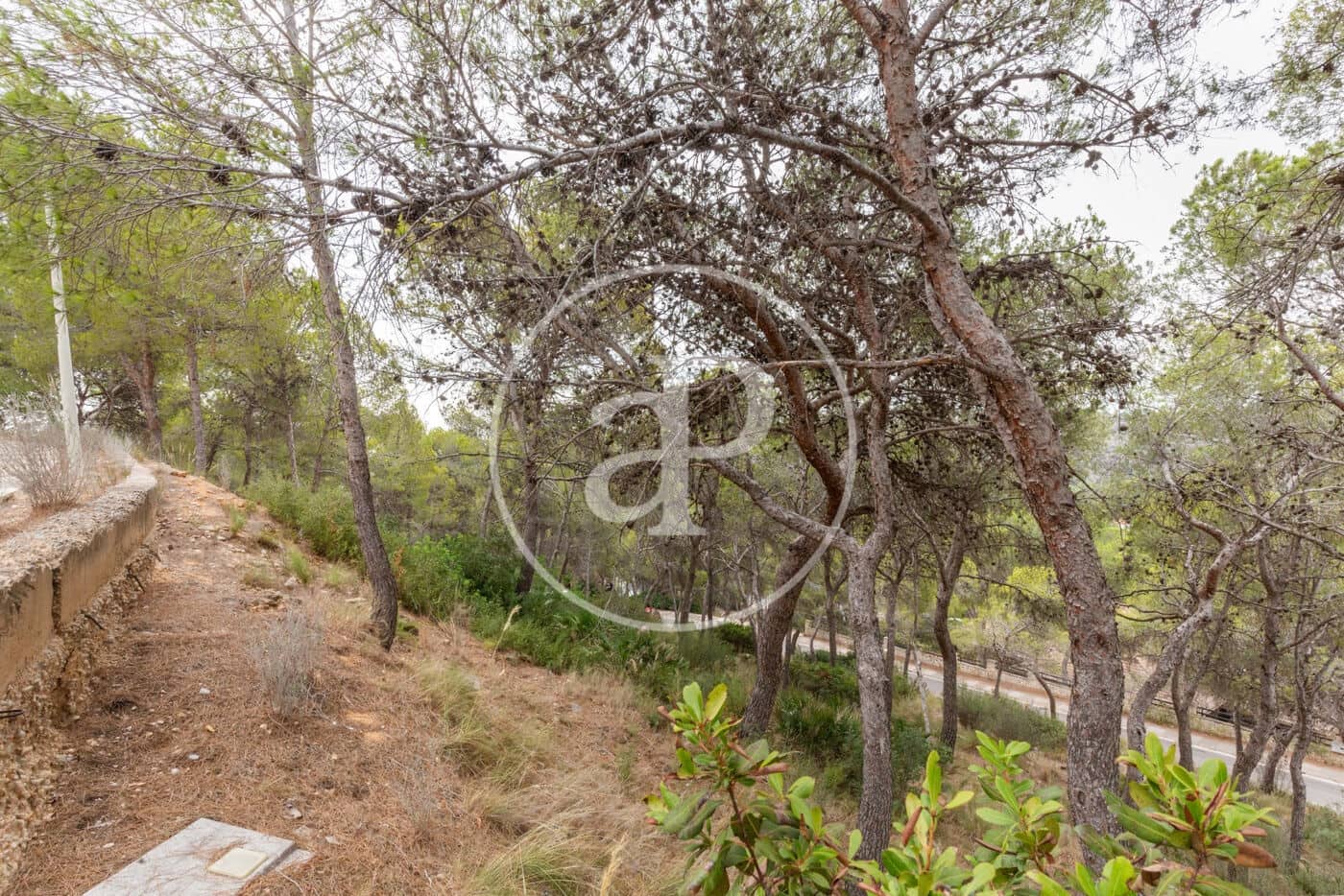 Teren niezagospodarowany na sprzedaż w Chiva - 215 000 € (Ref: 8454033)