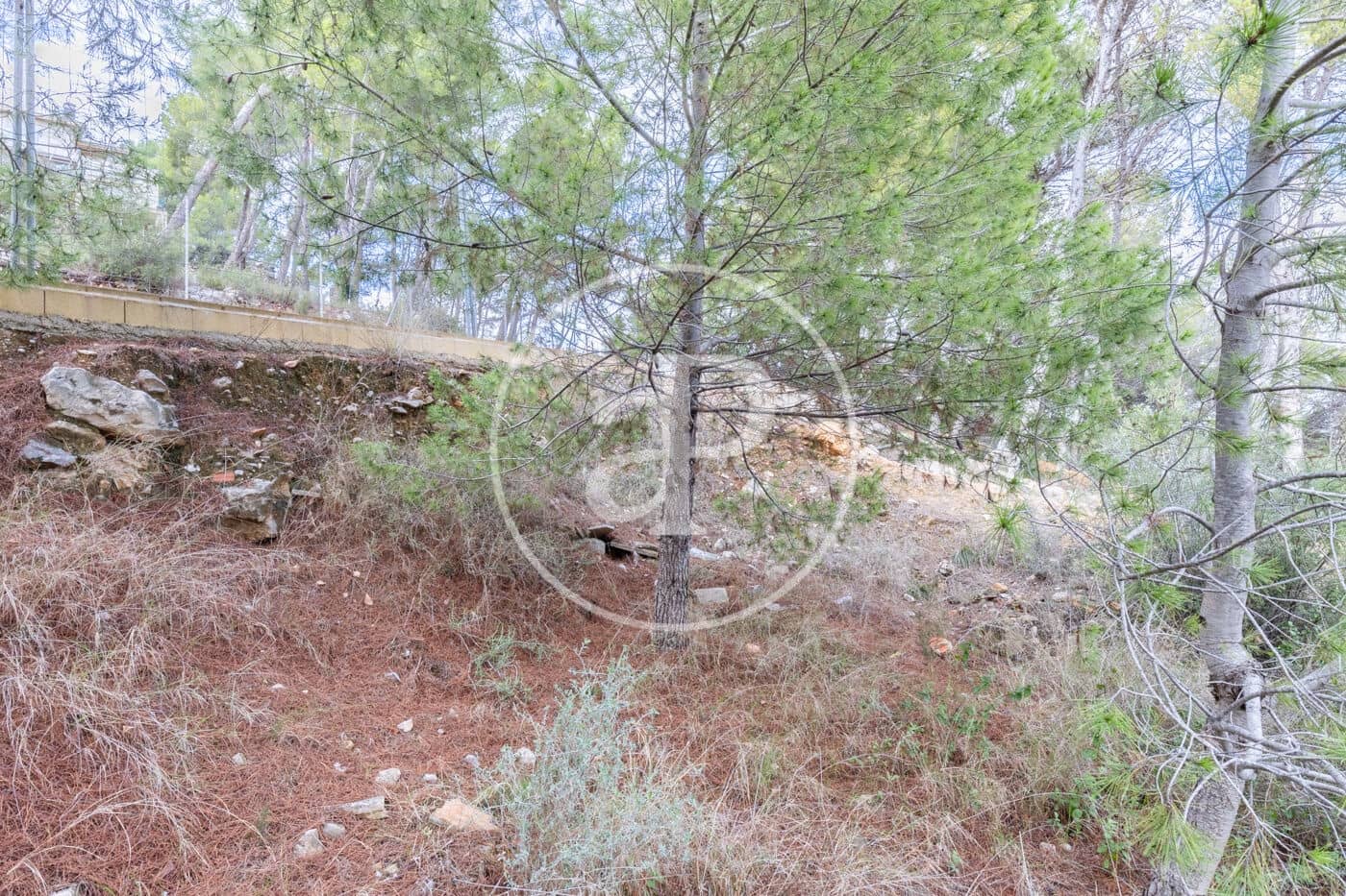 Teren niezagospodarowany na sprzedaż w Chiva - 350 000 € (Ref: 8602692)