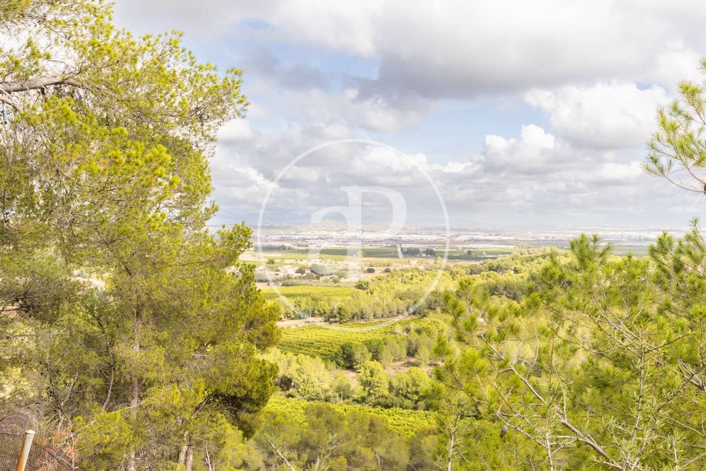Teren niezagospodarowany na sprzedaż w Chiva - 350 000 € (Ref: 8602692)