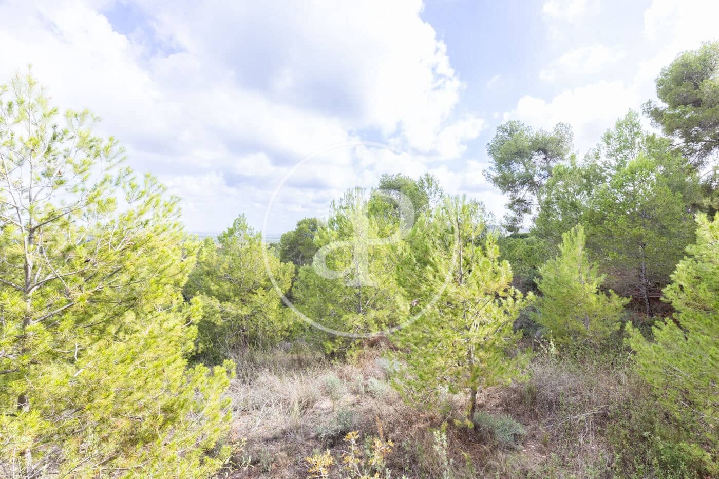 Teren niezagospodarowany na sprzedaż w Chiva - 350 000 € (Ref: 8602692)