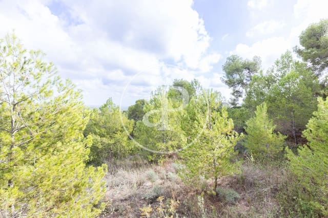 Terreno Não Urbanizado para venda em Chiva - 350 000 € (Ref: 8602692)