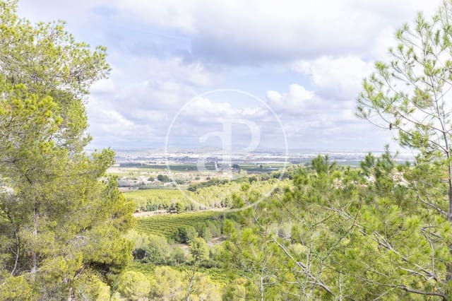 Terreno Não Urbanizado para venda em Chiva - 350 000 € (Ref: 8602692)