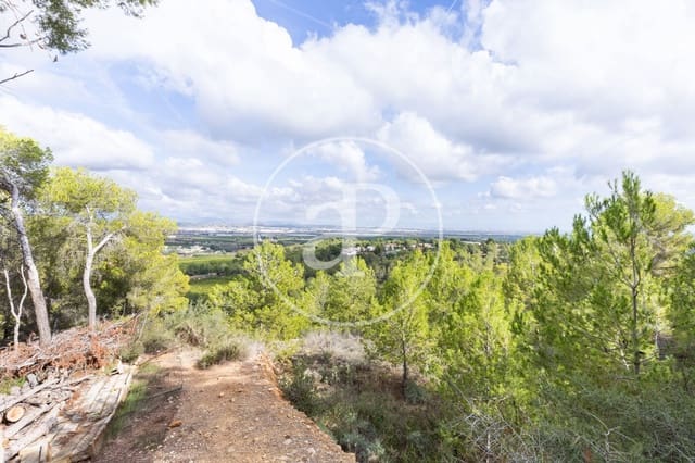 Terreno Não Urbanizado para venda em Chiva - 350 000 € (Ref: 8602692)