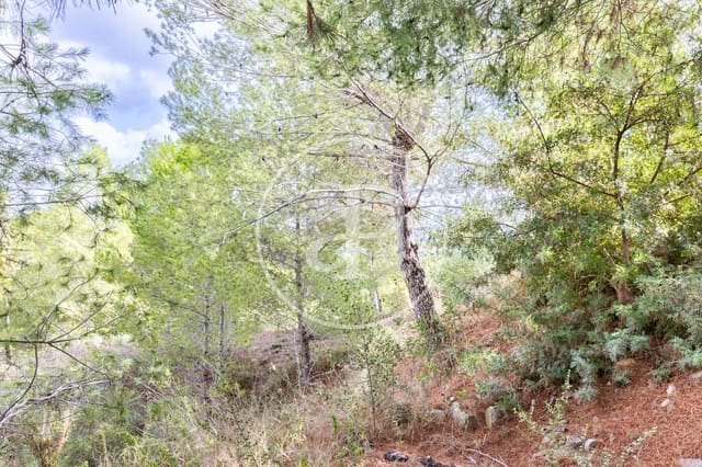 Terreno Não Urbanizado para venda em Chiva - 350 000 € (Ref: 8602692)