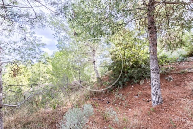 Terreno Não Urbanizado para venda em Chiva - 350 000 € (Ref: 8602692)